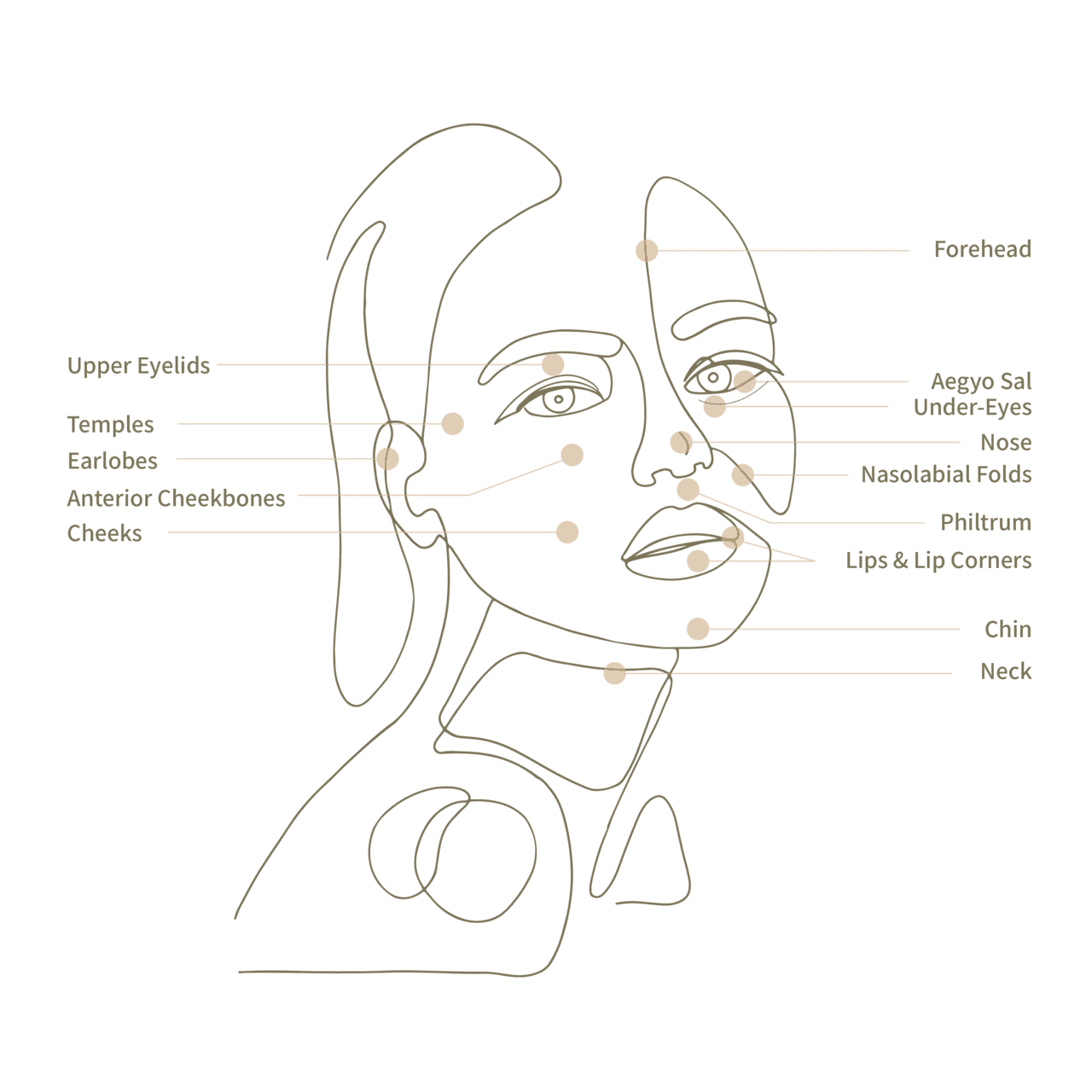 Filler — DA Dermatology Dosan
